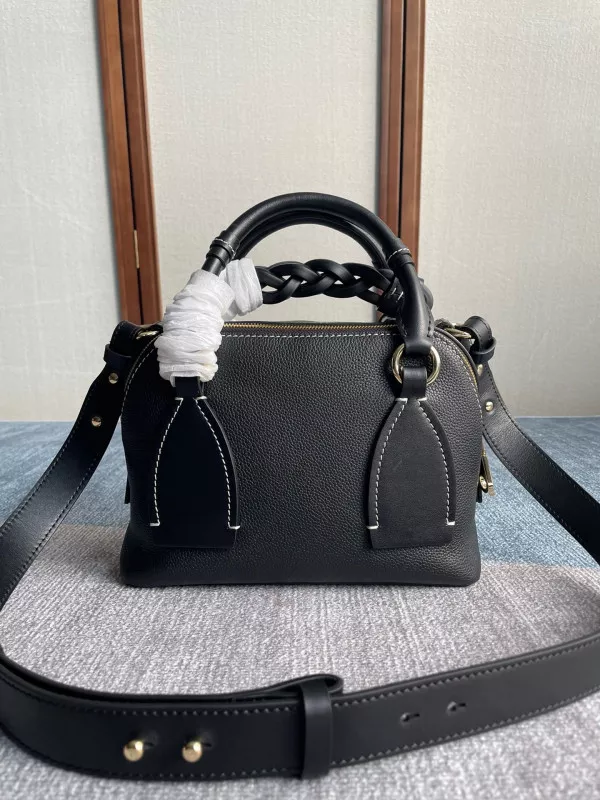 CHLOÉ SMALL DARIA BAG 0116