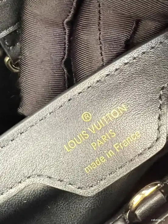 MM VUITTON CAPUCINES LOUIS 0210