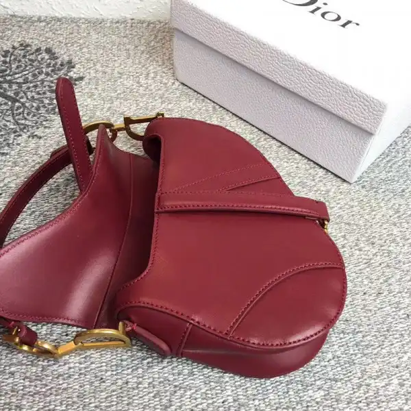 dior Saddle Bag 0203