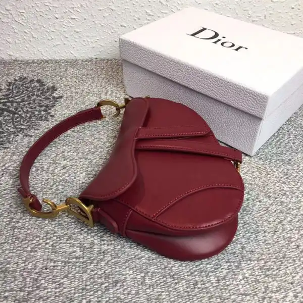 dior Saddle Bag 0203