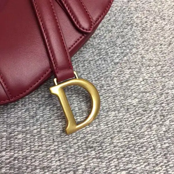 dior Saddle Bag 0203