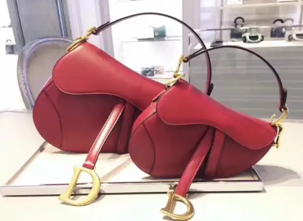 dior Saddle Bag 0203