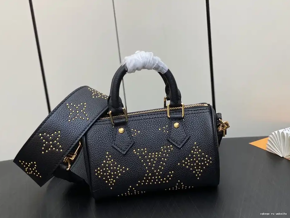 SPEEDY LOUIS VUITTON NANO 0207