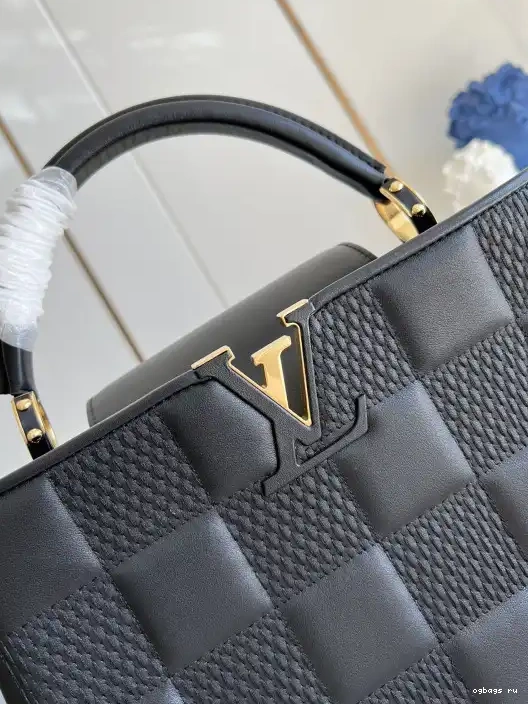 MM VUITTON CAPUCINES LOUIS 0210