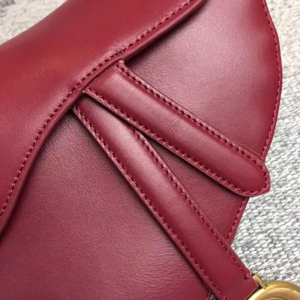 dior Saddle Bag 0203