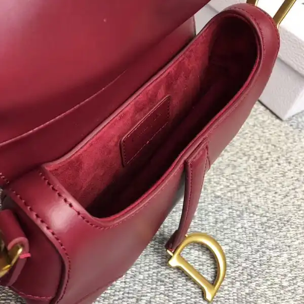 dior Saddle Bag 0203