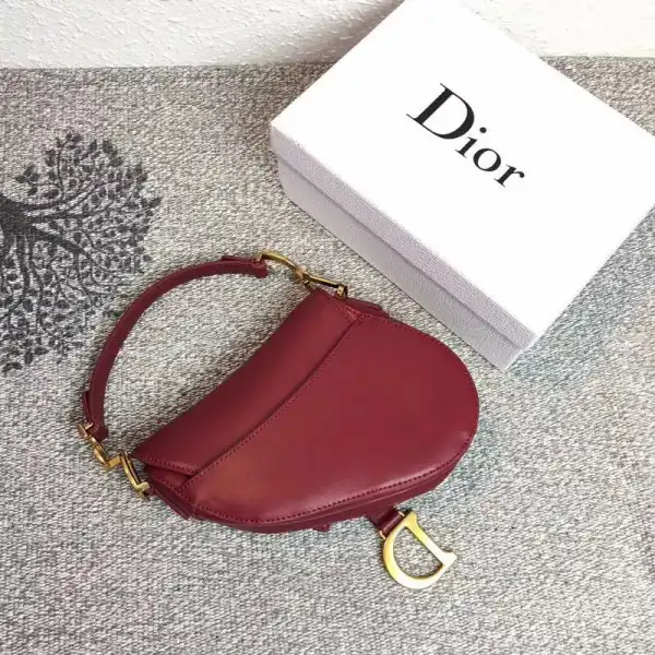 dior Saddle Bag 0203