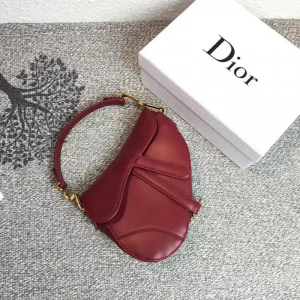 dior Saddle Bag 0203